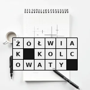 Hasło krzyżówkowe apalone spinifera gatunek gada z podrzędu żółwi skrytoszyjnych z rodziny żółwiaków którego pancerz grzbietowy zdobią na przednim skraju małe kolczaste miękkie wyrostki skórne występuje w ameryc - żółwiak kolcowaty – rozwiązanie, synonimy, podpowiedzi i definicje krzyżówkowe